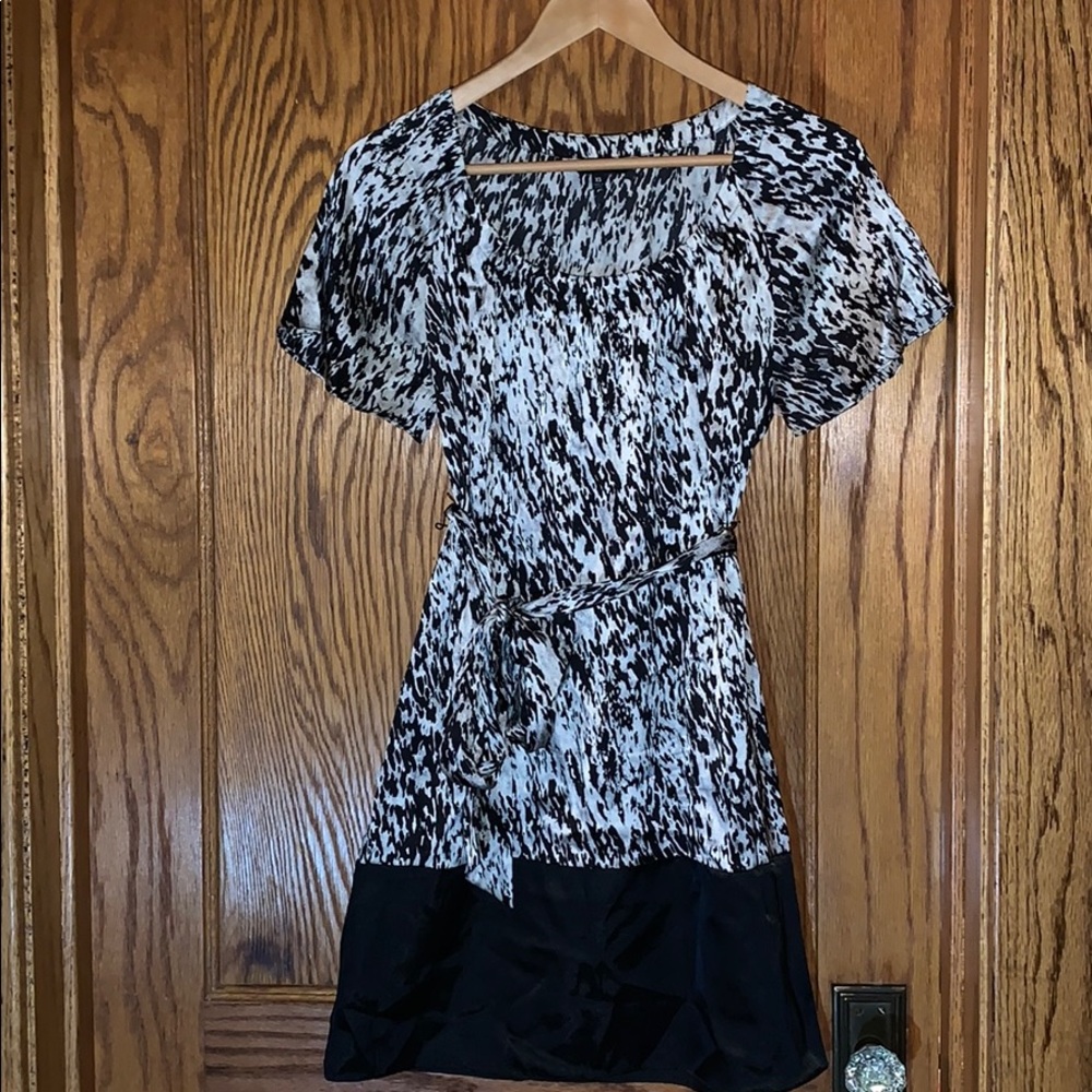 Express Silk Dress